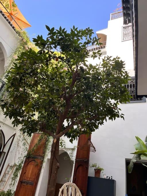 Riad Dar Fannan En Exclusivite Marrákes Kültér fotó